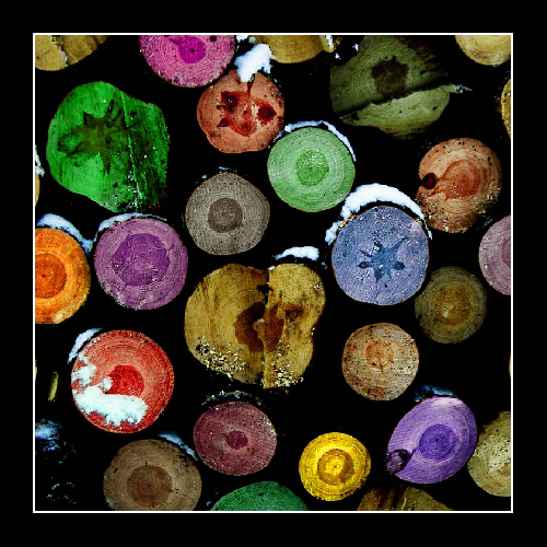 ..there is a Pattern in everything in nature..